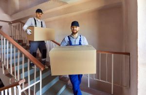 Professional Movers Moving Company Insurance