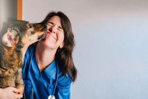 Veterinarian Malpractice Insurance