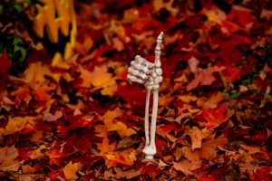 : Does Home Insurance Cover Vandalism From Trick-or-Treaters