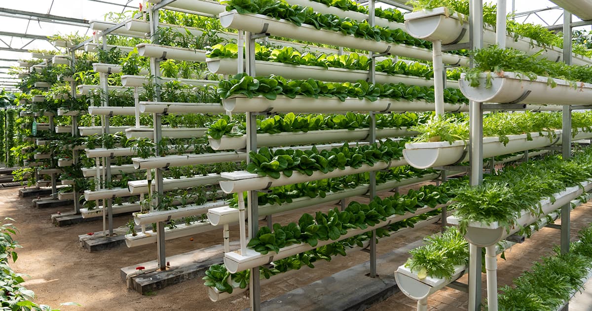 What Kind of Insurance is Needed for Vertical Farming