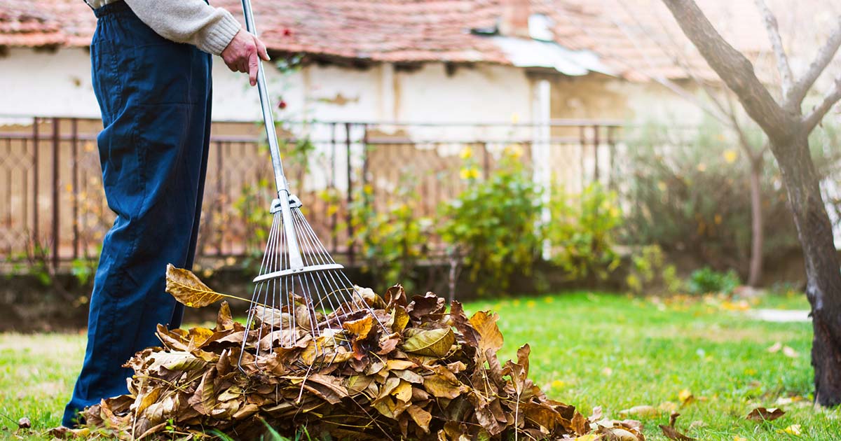 Fall Homeowner Checklist 