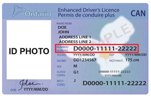 drivers license example