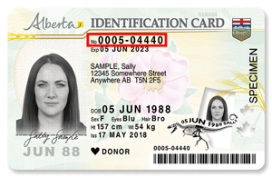 drivers license example